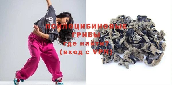 гидра Баксан