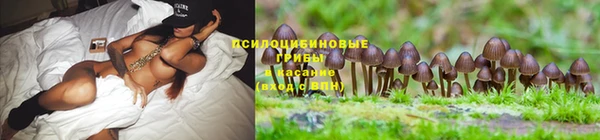 гидра Баксан